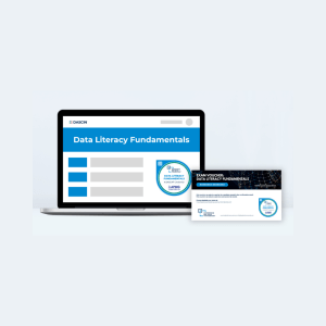 Data Literacy Fundementals® + Exam | Self-paced Online