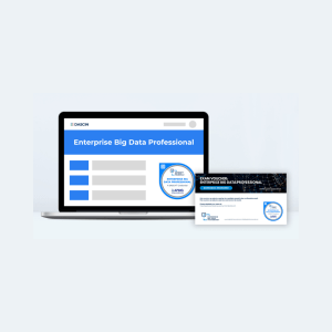 Enterprise Big Data Architect + Exam | Self-paced Online